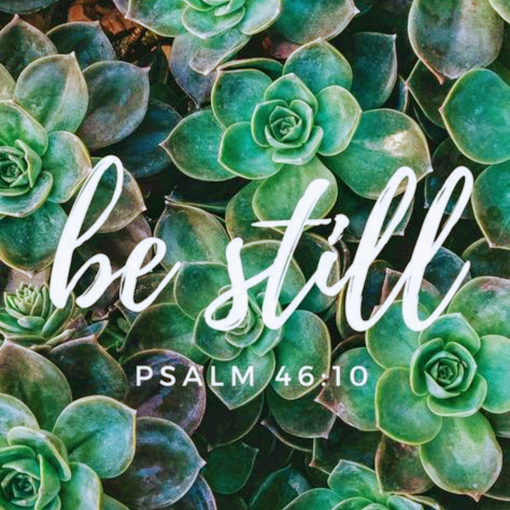 Meet your Posher, Vic